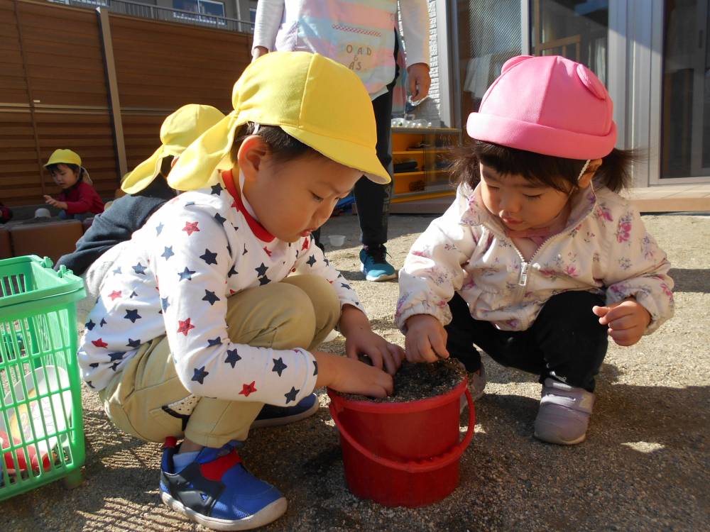 ひよこ組🐣うさぎ組さんと園庭遊び！