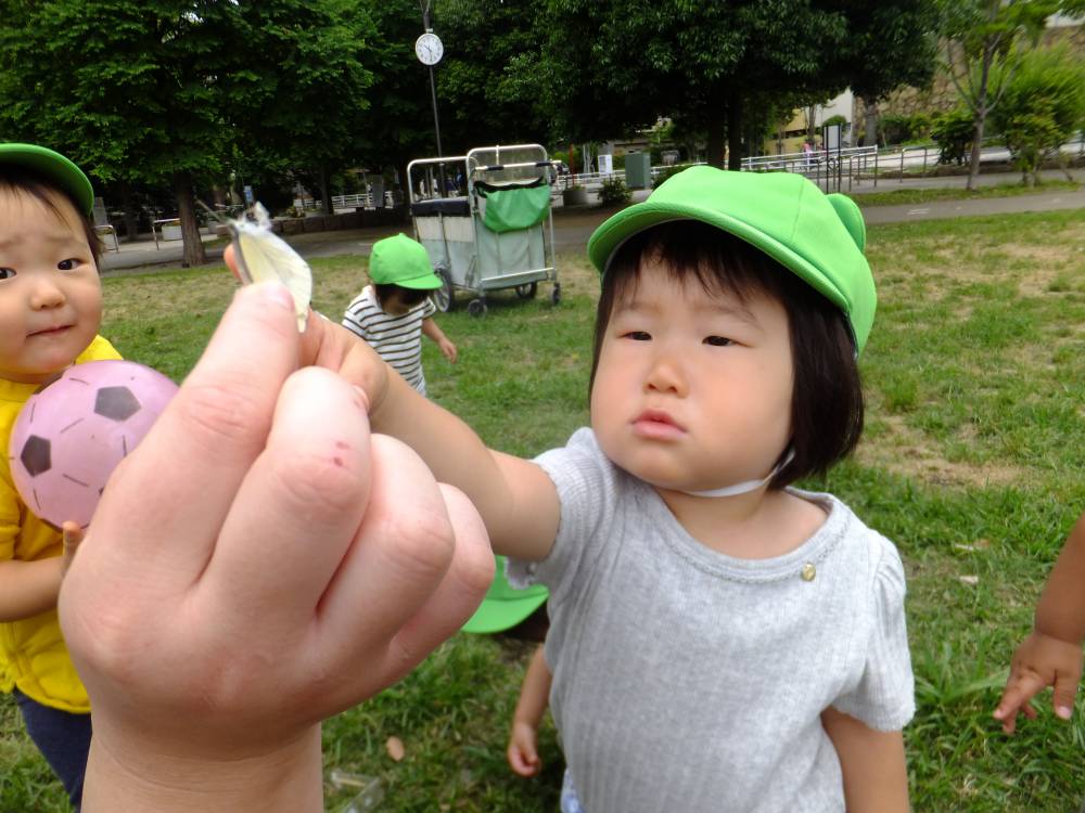 たんぽぽ組🌼お散歩🎵