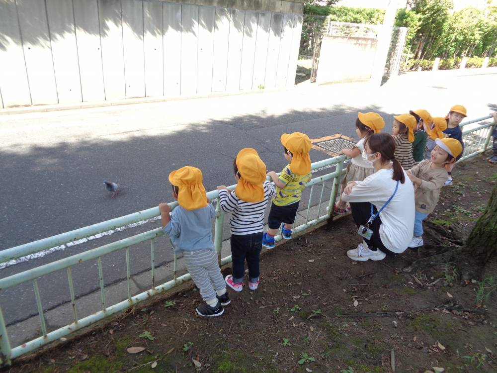 お散歩🐿りす組