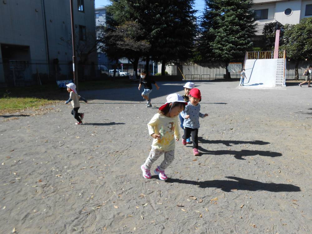 ぱんだ組🐼公園には秋がいっぱい🍂