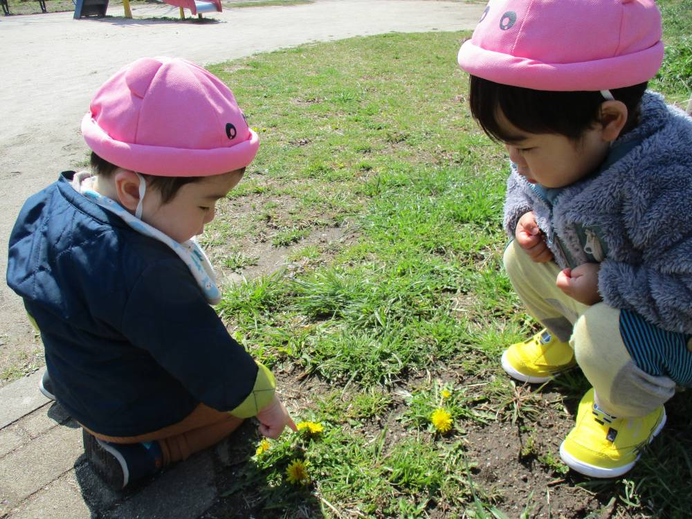 ちゅーりっぷ組🌷公園遊び