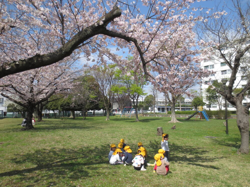 りす組🐿桜を見に行ったよ！🌸