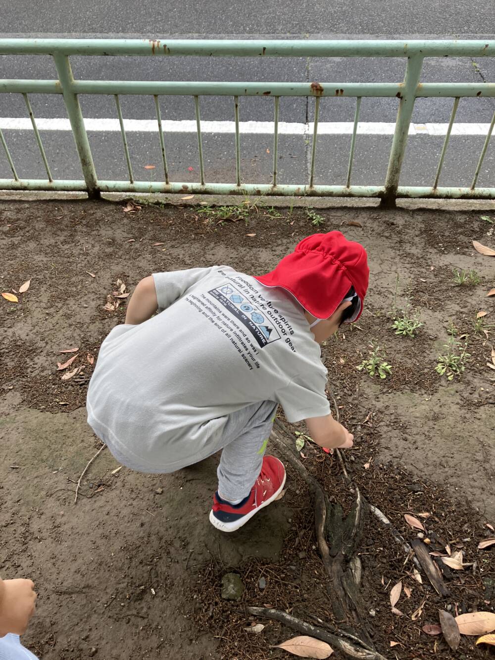 ぞう組🐘ごみゼロ活動