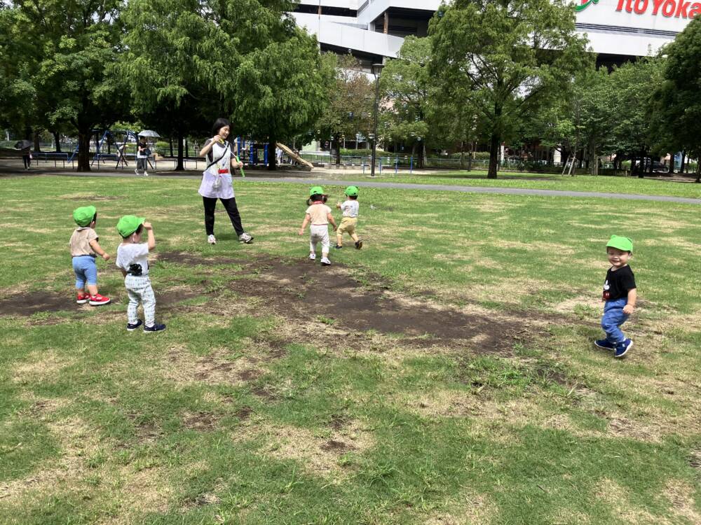 たんぽぽ😊お散歩