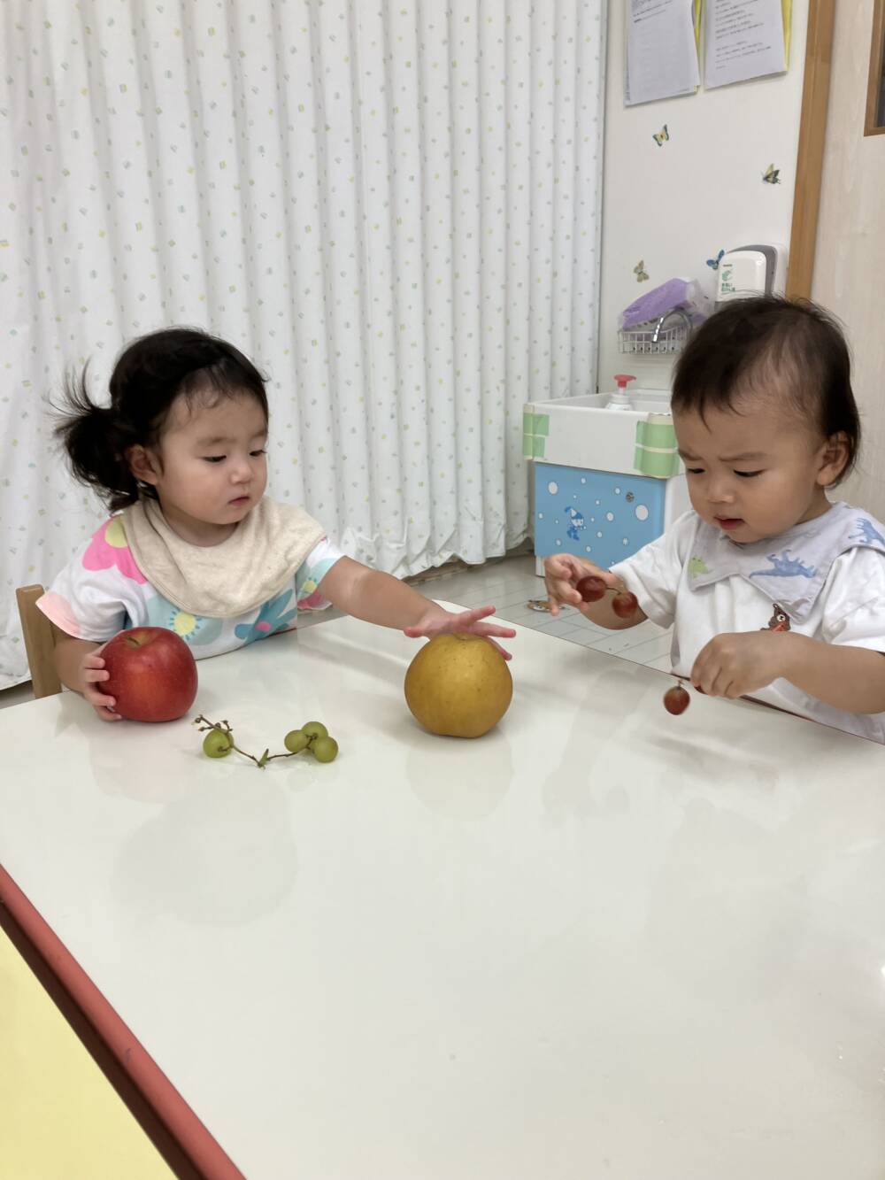 たんぽぽ組　秋の果物に触ったよ🍎