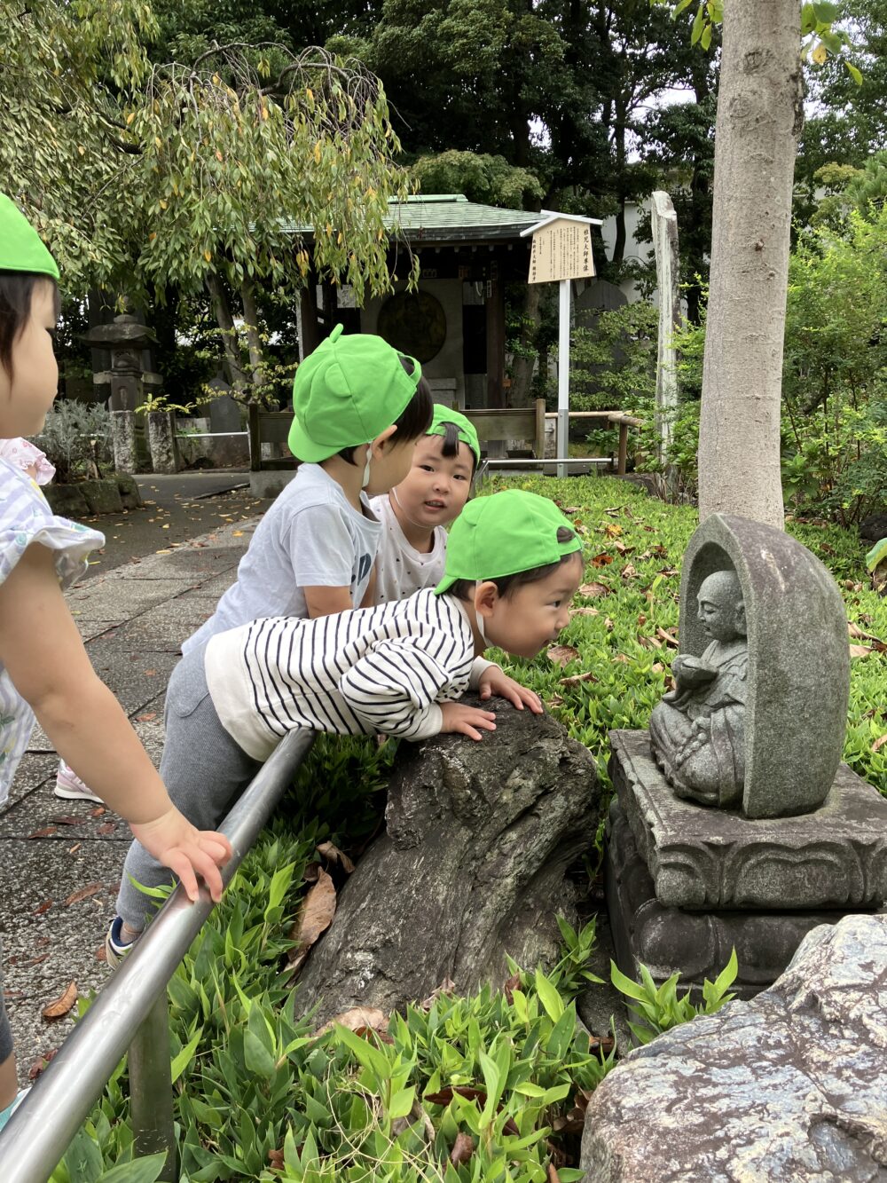 お散歩🎵たんぽぽ組