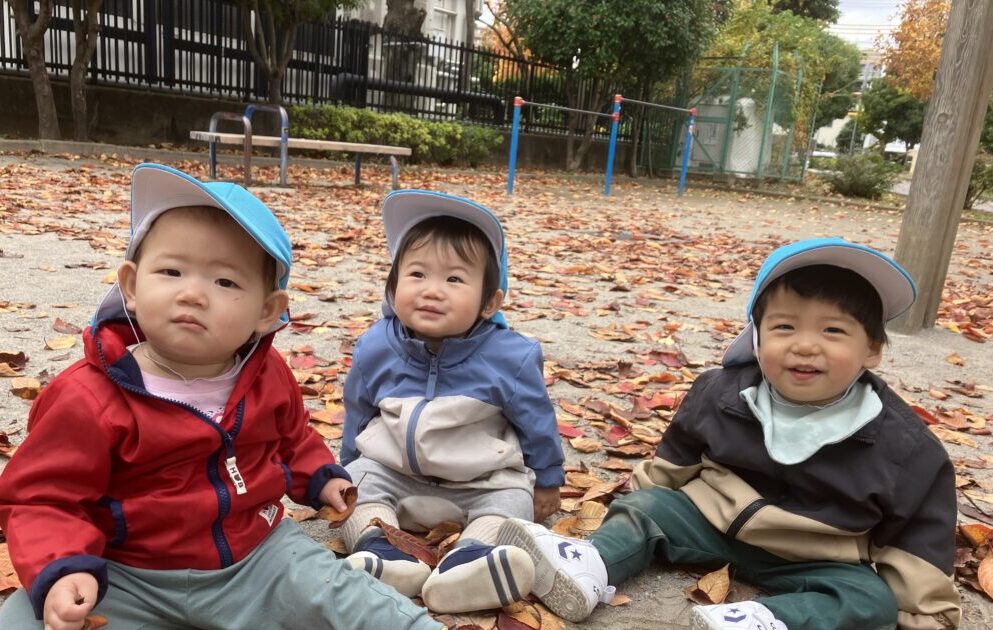 １１月末のちゅーりっぷぐみの様子🍂